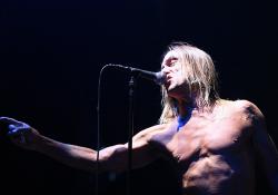 Iggy Pop Biglietti