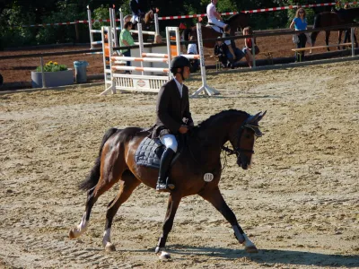 Equestre FEI World Championships Aachen 2026